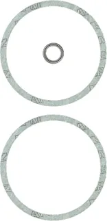 Victor Reinz Engine Oil Strainer Gasket Set - 021198031B